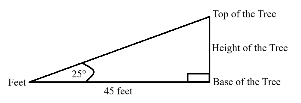 Number 26